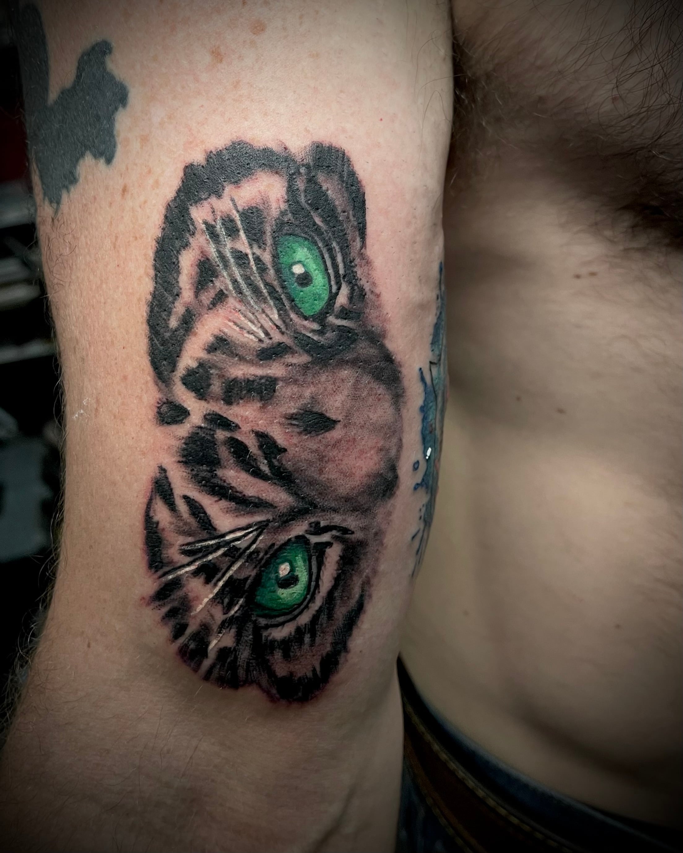 Tiger Eyes Tattoo