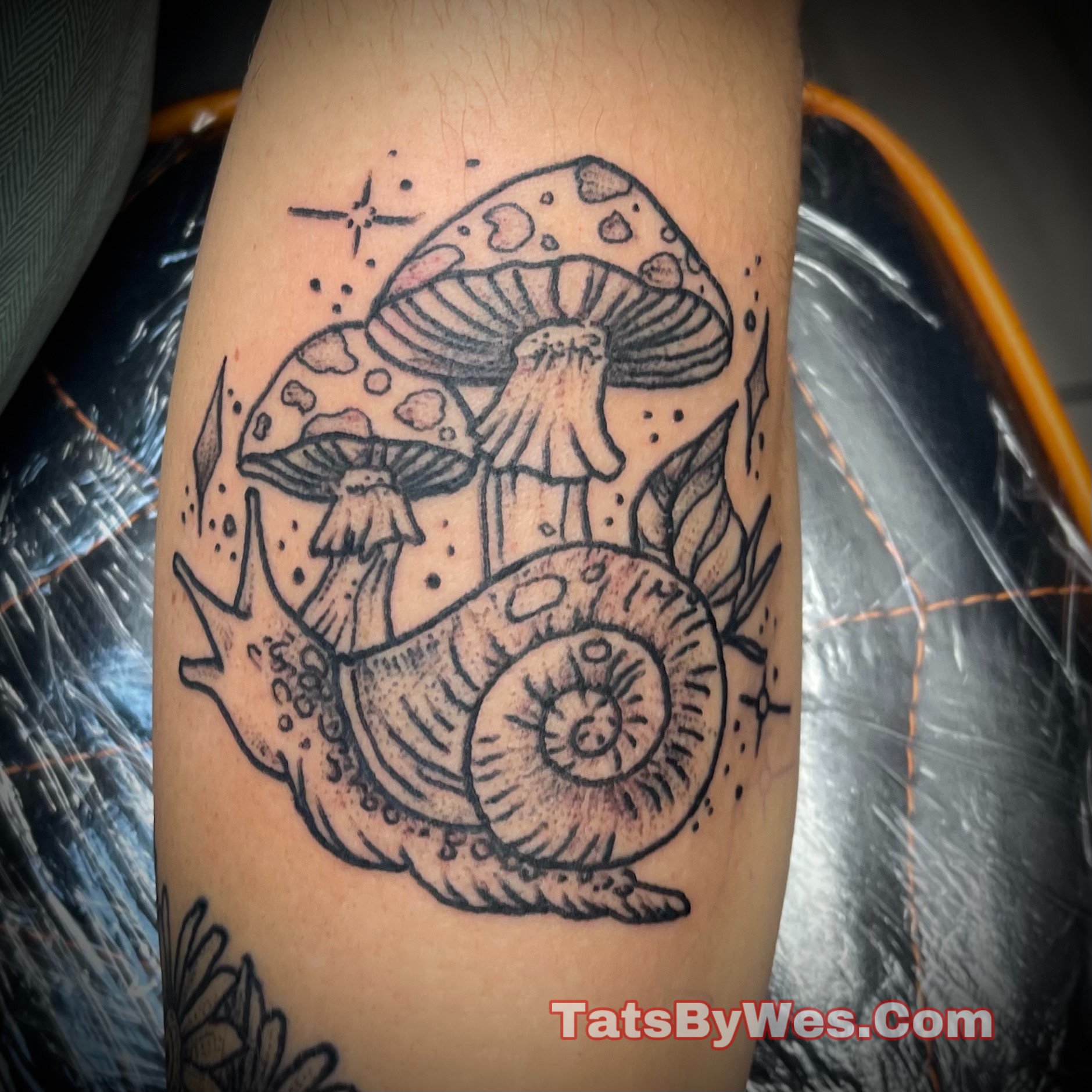 Tattoos for Women - Snails and Mushroom